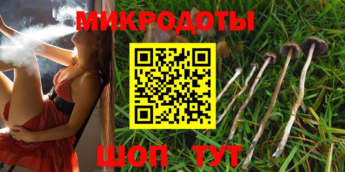 Галлюциногенные грибы Psilocybe  Псилоцибиновые грибы MAGIC MUSHROOMS  Заинск  Вход с VPN 